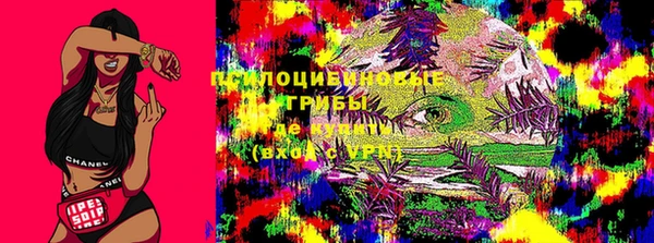таблы Вяземский