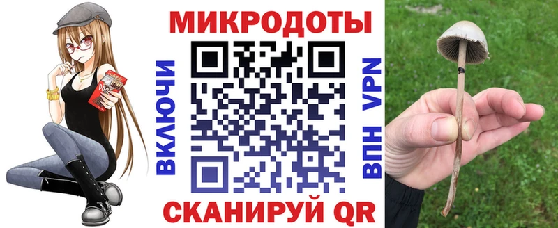 Псилоцибиновые грибы мухоморы  блэк спрут ссылки  Керчь 